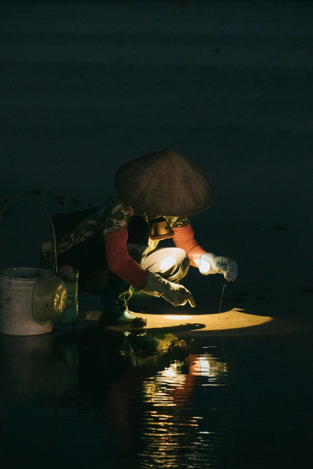 Seafood harvesting
